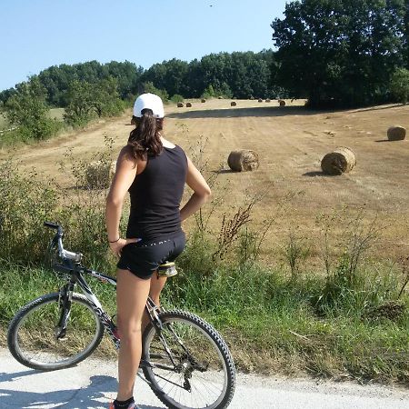 Country House Lozanjska Terasa Guest House Екстериор снимка