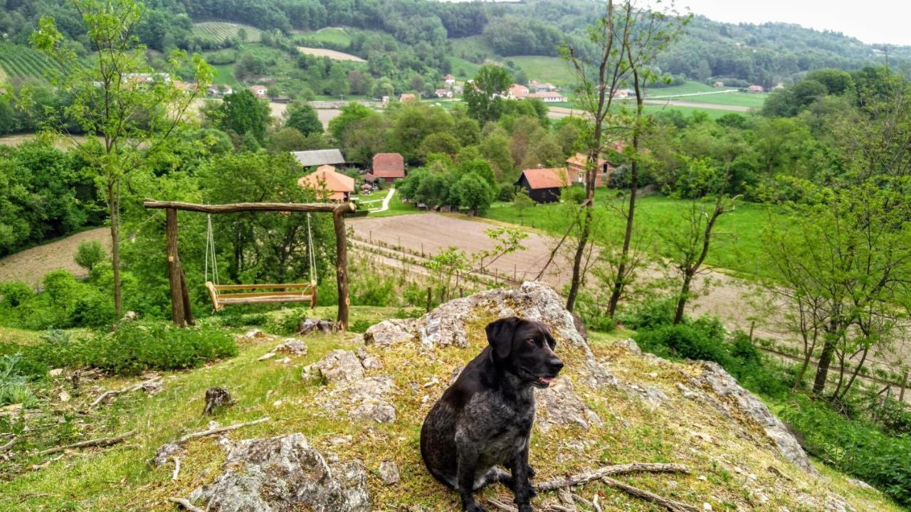 Country House Lozanjska Terasa Guest House Екстериор снимка